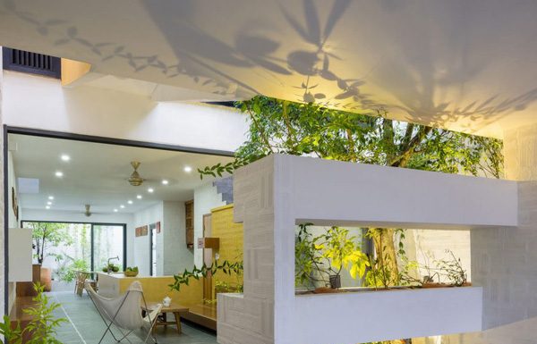 Kết cấu đặc biệt giúp ngôi nhà luôn tràn ngập ánh sáng và mang cả cây xanh vào mỗi gian phòng